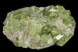 Vesuvianite Crystal Cluster - Jeffrey Mine, Canada #134411-1